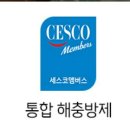 용인대양지태권도장 이미지