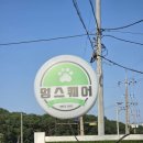 개린이세상 | 김포 애견카페 우리끼리 단독 사용 애견운동장 멍스퀘어 김포점