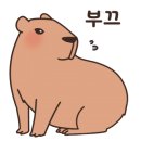 김명후다이어트복싱클럽 이미지