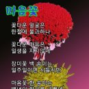 행복한 날 이미지
