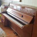 과학산단로 이미지