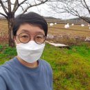 양양족발 네이버블로그