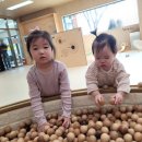 생각이 크는 도서관 | 5살, 10개월 아기와 함께 '김해목재문화박물관' 꿈크는 나무 놀이터 방문 후기