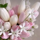 웨딩거리 | 대구 웨딩거리 드레스투어 리아웨딩 최종피팅 후기 내돈내산