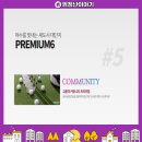 쌍봉로,시청로 이미지