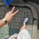 다녀왔다! 향일암 템플스테이 2박 3일!! - 上