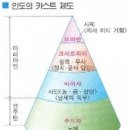 뉴앵글
