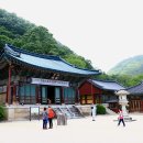 신흥사 이미지