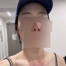 모래벌농장 | 시드니 2탄: 포트스테판투어 -돌핀크루즈, 모래썰매, 오크베일 동물원 투어후기