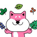 남영카센타 이미지