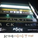 야옹야옹 캣카페 네이버블로그