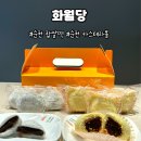 주정차단속-061 | [순천] 화월당 | 순천 찹쌀떡 카스테라볼 90년 전통 빵집 극도로 실망스러웠던 후기 내돈내산