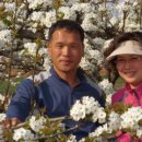 김치랑밑반찬 이미지