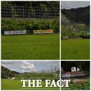 상기1리 더팩트