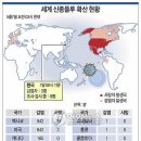 신종인플루엔자 A(H1N1) 사례연구 개별과제 이미지