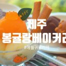 제주애월베이커리카페 ‘봉귤랑’ 방문 후기! 귀여움+맛 모두 잡은 6가지 매력