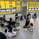 타이거 유치부 태권도 전용관 이미지