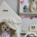 멍냠멍냠 이미지