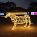 간절곶사슴농장 이미지