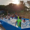 에메랄드 하우스 이미지