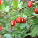 봉림중학교 이미지