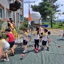 비상초교 병설유치원 이미지