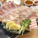 1307 | [경남/창원] 창원 상남동 제철회 맛집 추천 : 속초오징어어시장 상남점 솔직 후기
