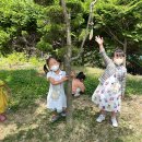 연성대학교부속유치원 이미지