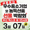 새벽전람 이미지