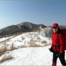 ****장안산(1237M) 눈꽃산행****21년 1월24일(일)07시20분(시청)-07시30분(백두대간) 이미지