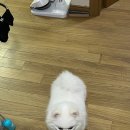(주)더좋은사람 네이버블로그