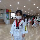 용인대 태권얍 이미지