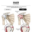 하이엔드피트니스 - 평택시 고덕중앙2로 41 | 하이엔드피트니스