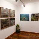 하니여인숙 이미지