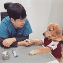 함께오래 동물병원 | 역사학과 출신이 수의사가 된 이유｜함께오래동물병원 원장 이야기