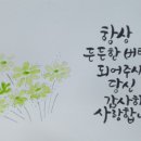 수채화 캘리그라피(주간) 이미지