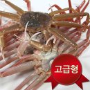 노가네 이미지