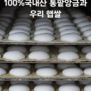 연화통팥 이미지