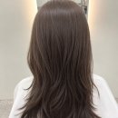 미니비헤어