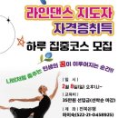 라인댄스 마스터 | 전주 완주 익산 군산 김제 남원 라인댄스강사 자격증 하루 마스터 취득반 파랑평생교육원