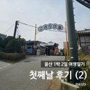 울산 1박 2일 여행일기 1일차 (2)_장생포고래문화마을, 장생포옛마을, 해피 관광카드_250329
