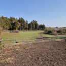 마하목장 이미지