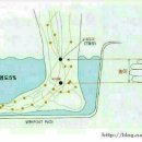 ◑ 족욕의 효능과 제대로 알고 족욕하기 ◑ 이미지