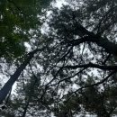 클래식 펜션 이미지