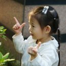 이여라