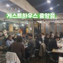 강릉더쉼표게스트하우스 | 강릉 게스트하우스 중앙점 가성비 강릉 1인 숙소 포트럭 파티 후기