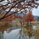 행궁스테이(STAY) 이미지