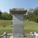 강자평신도비(姜子平神道碑), 묘비 및 묘소 이미지