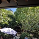 미술관옆약국 이미지