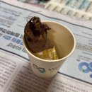 충북자동차정비공업사 이미지